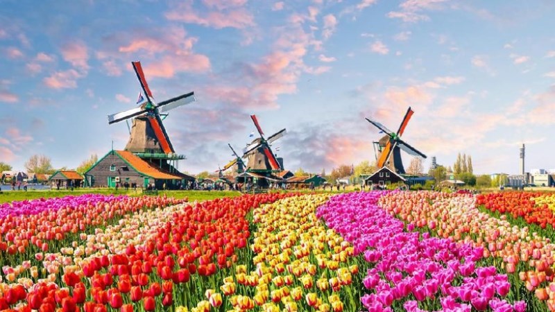 7 Tempat Wisata Terbaik di Belanda yang Wajib Anda Kunjungi